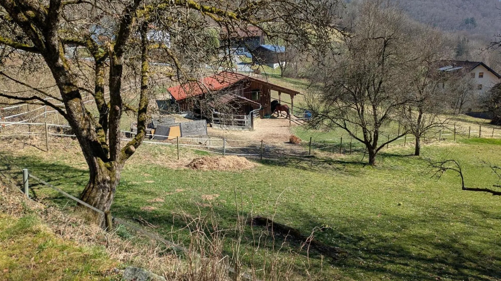 شقة Haus Baernstein غرافناو